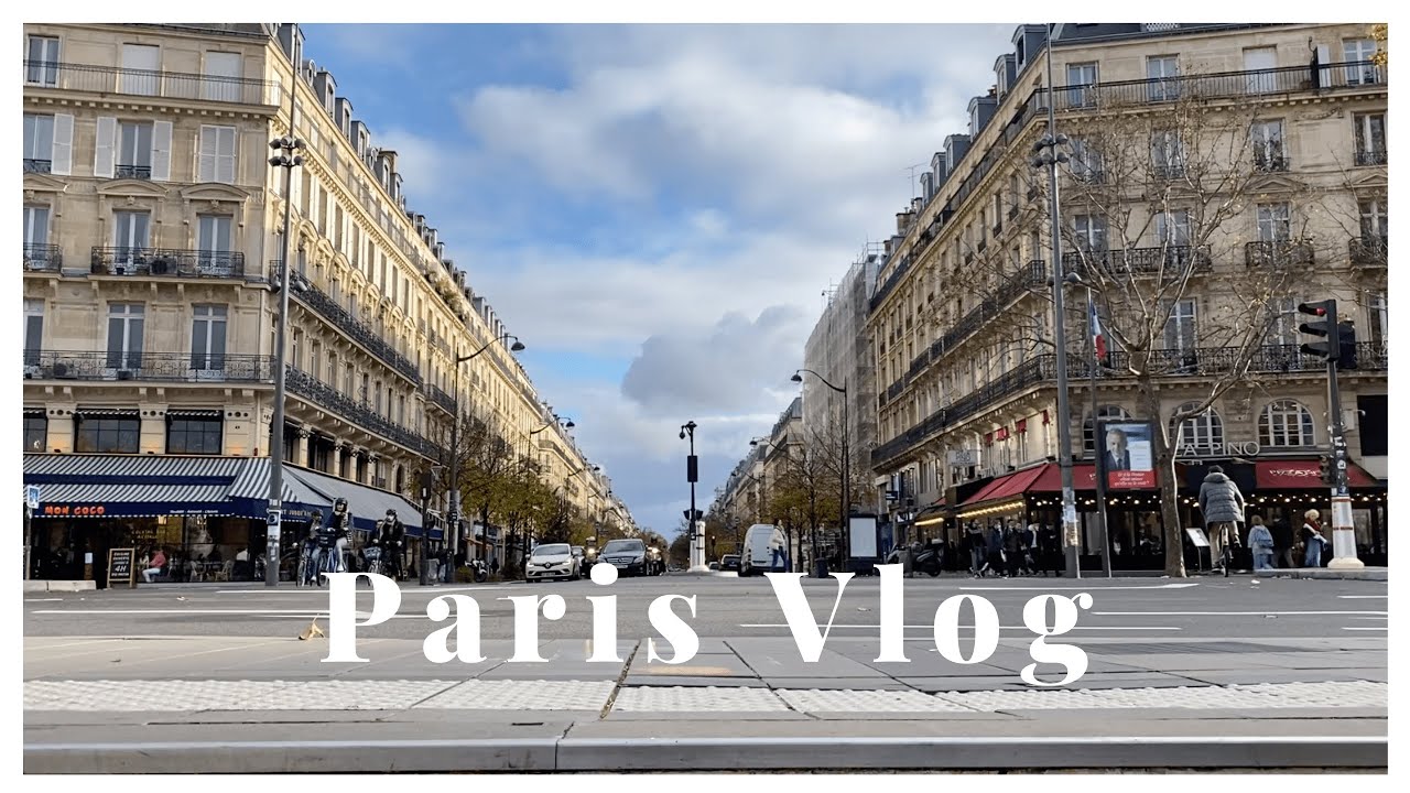 Paris Diaries l Some of my fav Korean restaurants in Paris and Vintage/Plants market - Vinokilo