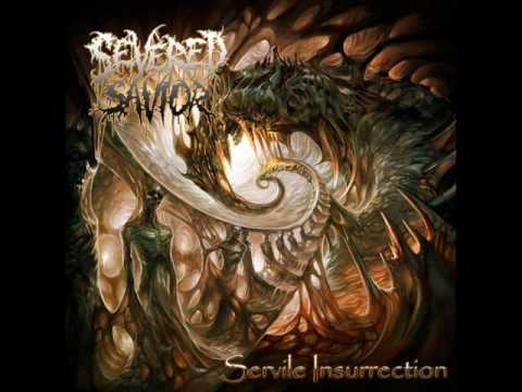 Severed Savior - Question