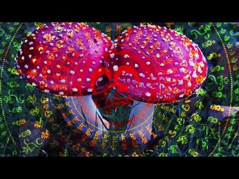 Progressive Psytrance mix January 2020 Mushroom edition
