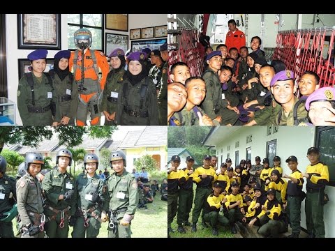 Kuda patogen farmasi dijual Agen untuk pembesaran penis