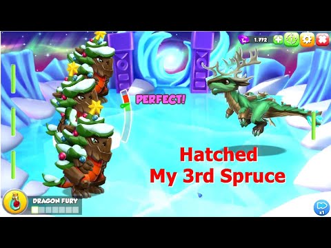 Hatched My third Spruce Dragon-Dragon Mania Legends | Divine party Winter Sun Castle Event | DML