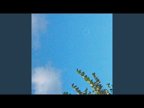 Video thumbnail for In the Wind