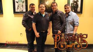 Los Palominos - Coming To Freddie Records