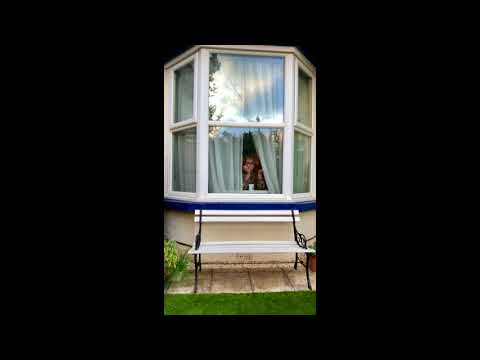 Marion's World... Garden or cheese?