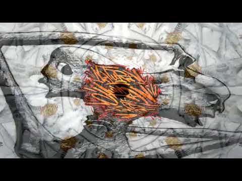 Psicosis // BrokenTapeVol2