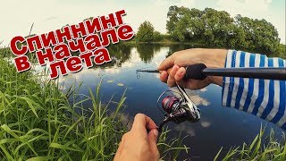 Ловля щука в июне на спиннинг