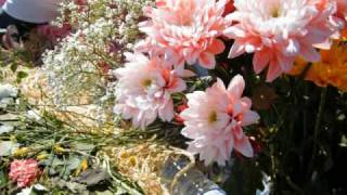 preview picture of video 'festivals flowers CAZERES partie 1 sur ............'