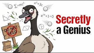 The Canada Goose - Why Nature's Biggest Jerk is a Master of Physics (The Cobra Chicken)