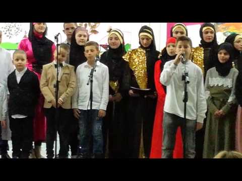 Abdulah Ramović: Od aška si bolestan*