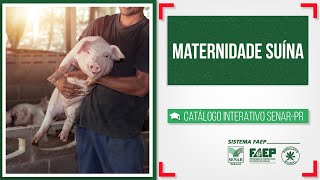 Miniatura do vídeo