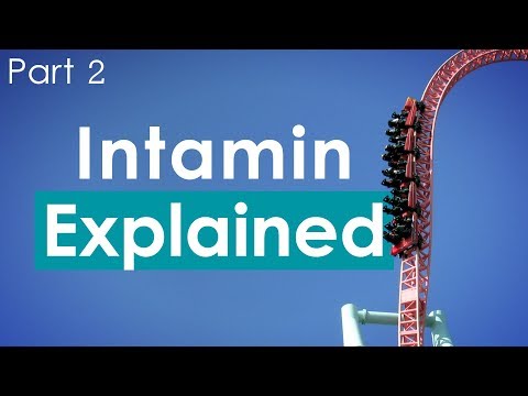 Intamin: Explained - Part 2