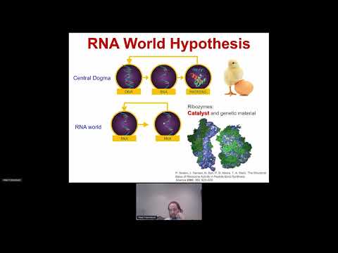 Albert Fahrenbach - An autocatalytic reaction network that produces nucleotide precursors
