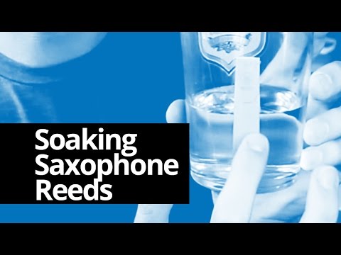 Soaking Your Saxophone Reeds - Real Sax Daily #50