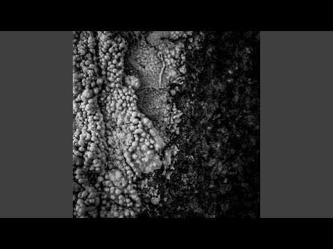 Iron Blooms