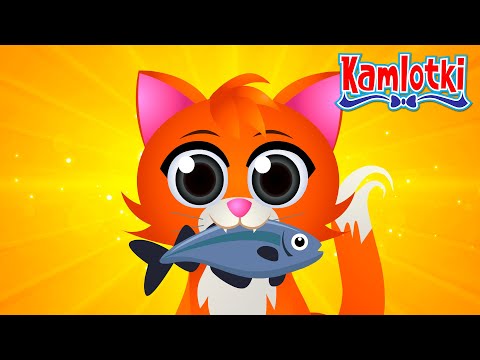 MAŁY KOTEK – Piosenka o kotku 🐱 Polskie piosenki dla dzieci | Kamlotki