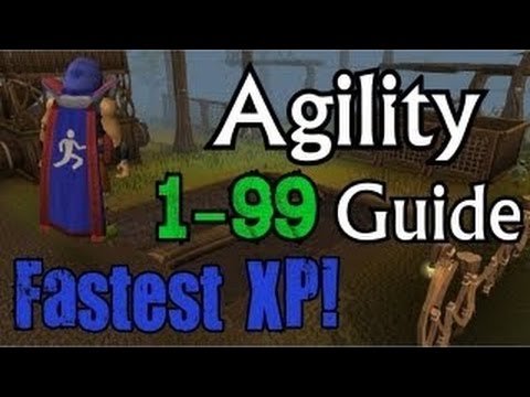 EFFICIENT 1 99 Agility Guide!   30m+ PROFIT   Oldschool 2007 Runescape