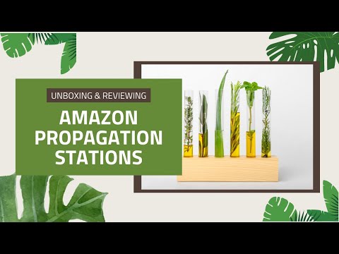 Amazon Review Propagation Stations Unboxing