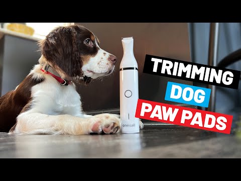 Low-Noise Dog Paw Pad Trimmer/Clipper Review (from Oneisall)