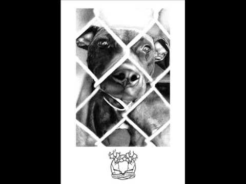 J. PENURIAS IVANCANO - HACIENDO ALGO POR MI