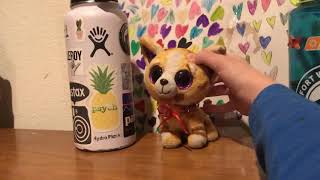 Nalgene vs. Hydroflask