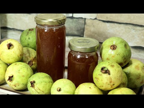 Homemade Guava Jelly | Guava Marmalade | Guava Jam