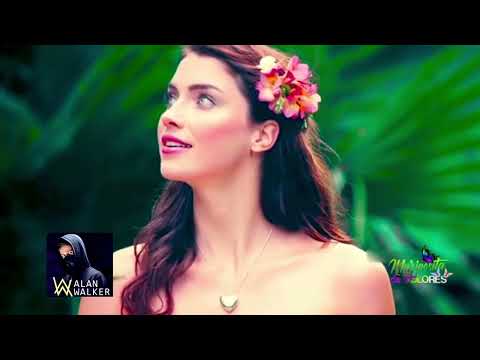 Alan Walker - Mariposita De Colores 🌈🦋 ( Style Remix 2026 )