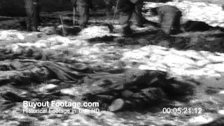 Crippled Black Phoenix   Bastogne Blues [Lyric Video]