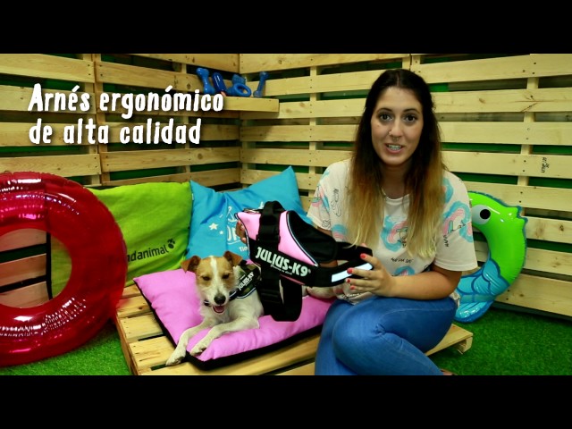 Vídeo relacionado con Star Wars All Star Characters - Correa de Perro de 4 pies | Correa de Perro de 4 pies se Fija fácilmente a Cualquier Collar o arnés de Perro | Correa de Nailon para Perro con Personajes de Star Wars
