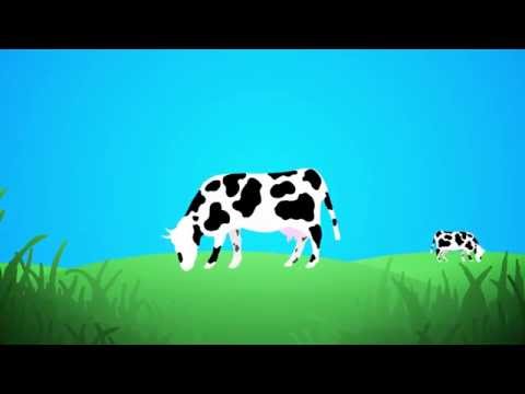 What is UHT milk