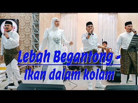Ikan dalam kolam - LEBAH BEGANTONG - Sekedar bertanya . #medan #lagu #musik #melayu #sumut #dangdut
