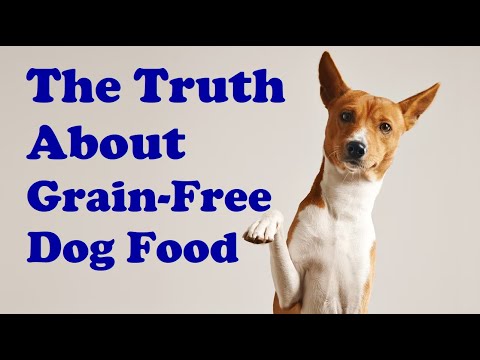 The Truth About Grain-Free Dog Food: Separating Fact from Fiction #GrainFreeDogFood #DogNutrition