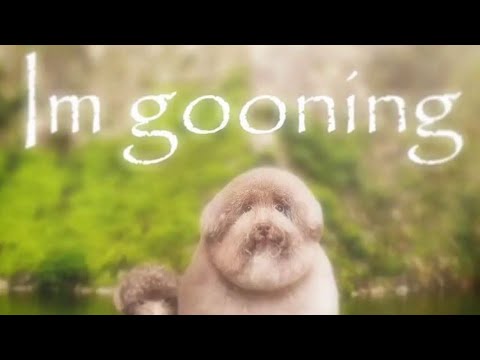 Bullshitpost status compilation 4
