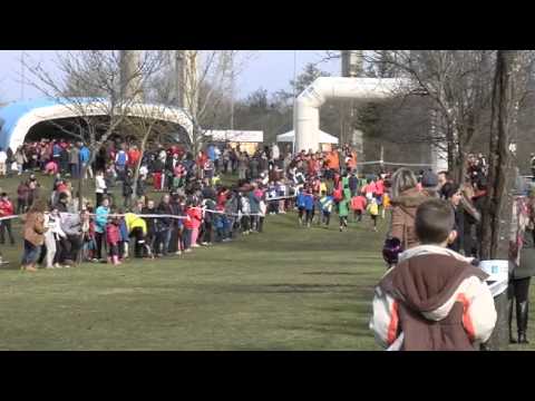 DEPORTES. CAMPEONATO PROVINCIAL DE CAMPO A TRAVÉS, CIRCUITO A VERONZA