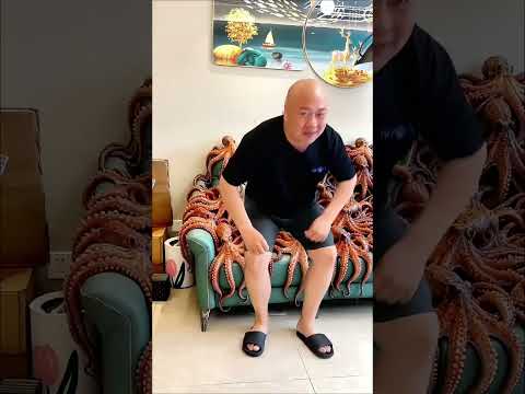 🐙 O Papai Polvo Furioso Está Chegando! 😱 Corra Antes Que Seja Tarde! ⚠️