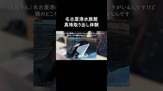 【名古屋港水族館】真珠取り出し体験が楽しすぎる #名古屋 #デート #vlog