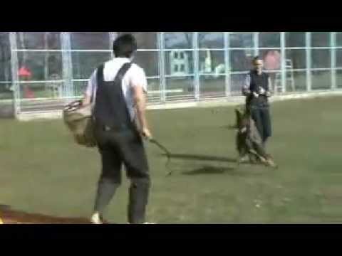 Da Vinci z Jukasu - protection - 18 months