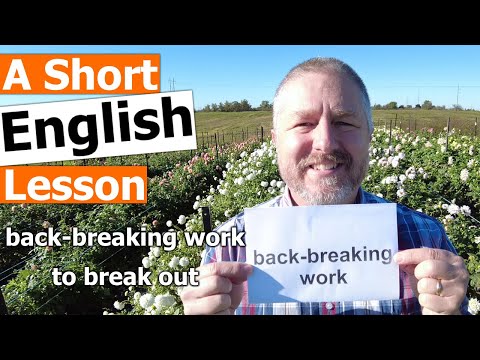Learn the English Phrases BACK-BREAKING WORK and TO BREAK OUT