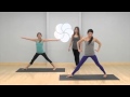 Yaga Videos Yoga Poses For Beginners Bird Of Paradise Level 2