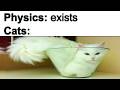 Cat Memes
