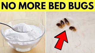 Use Baking Soda to Get Rid Of Bed Bugs Naturally and Permanently In One Day