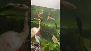 Download lagu let's go #jobbiehebriovlogs mp3 Download lagu let's go #jobbiehebriovlogs mp3