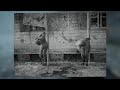 WW2 German Prison Camp Call Of Duty WW2