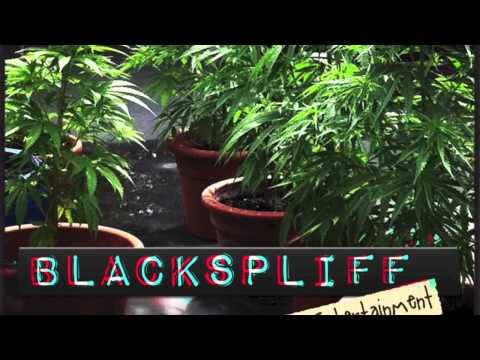 Blackspliff & Donni Devil-High Life