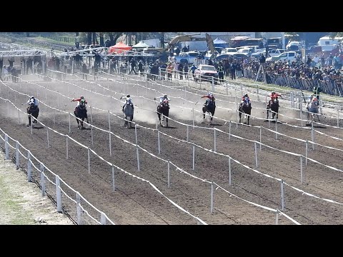 BOLSONARO - Evento Copa Challenger - Gran Clásico Zonal - 300m - Hipódromo La Ilusión - 06/09/2025