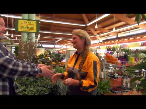 Upptäck HORNBACHs stora värld!