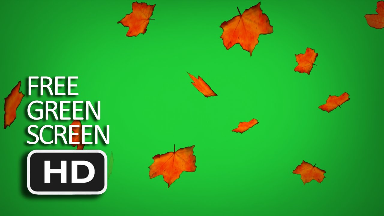 Free Green Screen - Falling Autumn Leaf