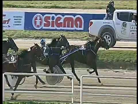 Trotto 18/05/2018 - 6ª corsa