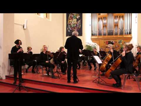 Plantage Barokorkest Tiel o.l.vl Frits Hendrich Marcello Concert in D-klein: Andante, Adagio, Presto