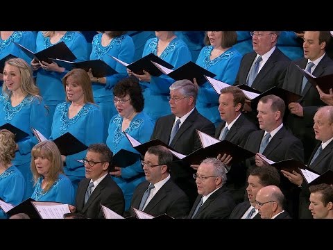 Olhai os Lírios no Campo