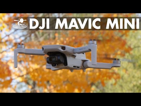 Is the New Mavic Mini Right For You?! Under 250grams //  Flite Test Tech Review